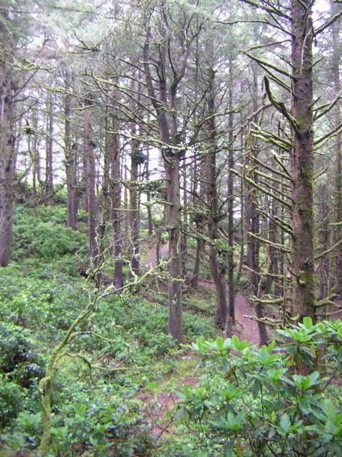 DSCN2142.jpg