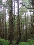 DSCN2143.jpg