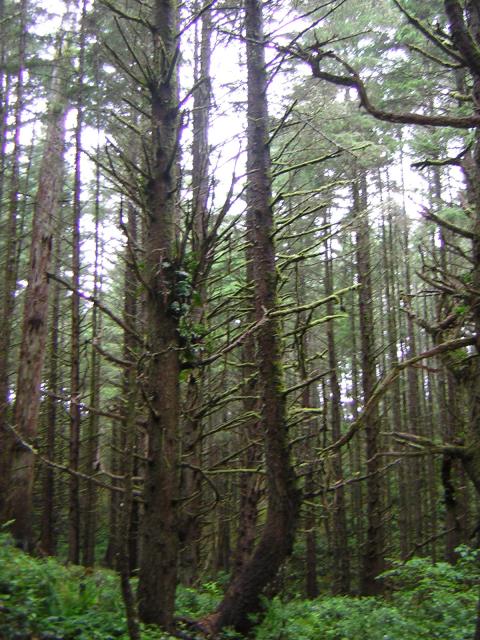 DSCN2143.jpg