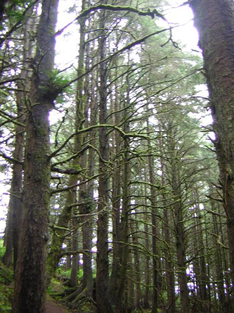 DSCN2144.jpg