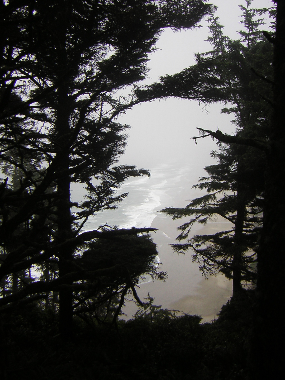 DSCN2145.jpg