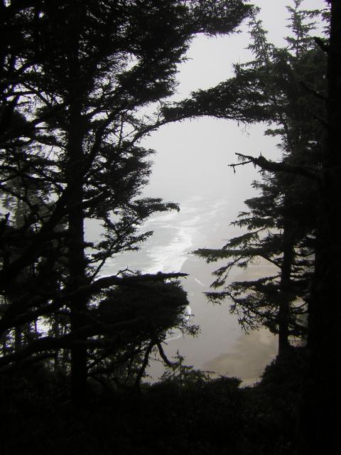 DSCN2145.jpg