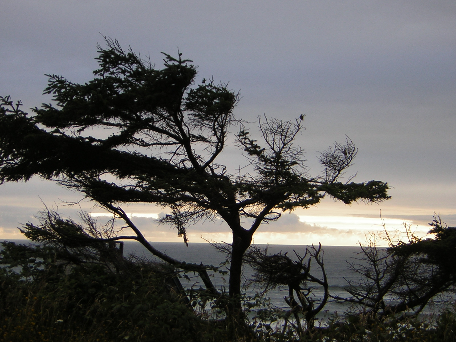 DSCN2154.jpg