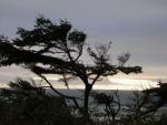 DSCN2154.jpg