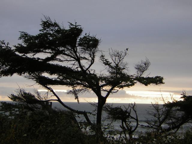 DSCN2154.jpg