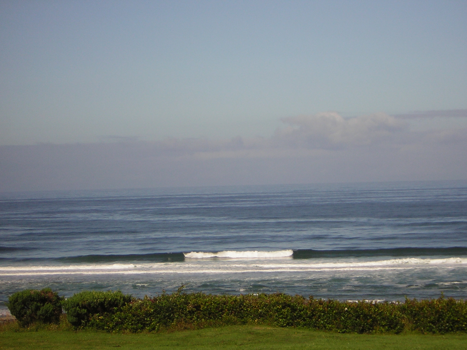 DSCN2157.jpg