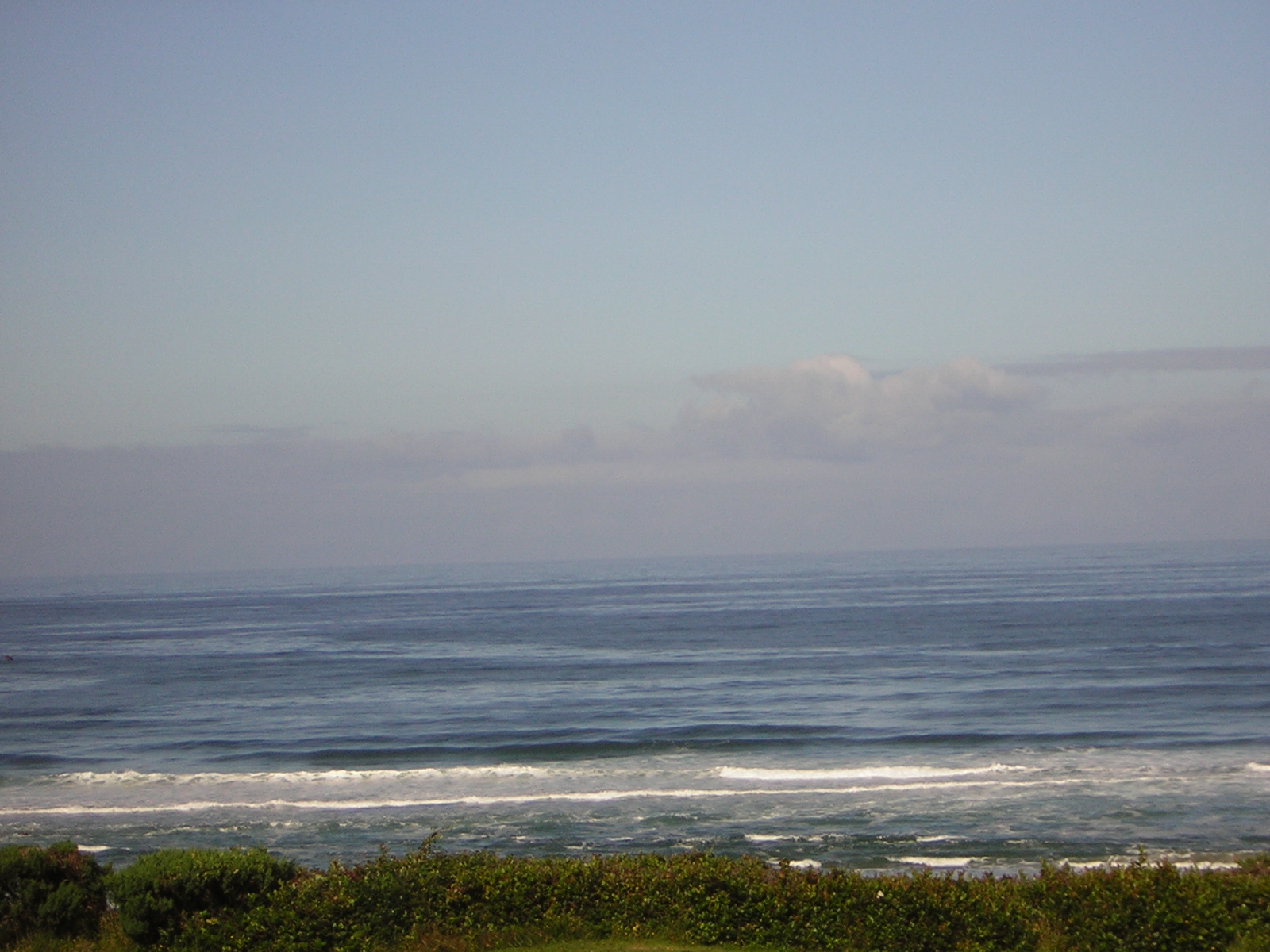 DSCN2158.jpg