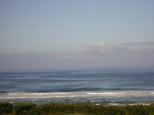 DSCN2158.jpg