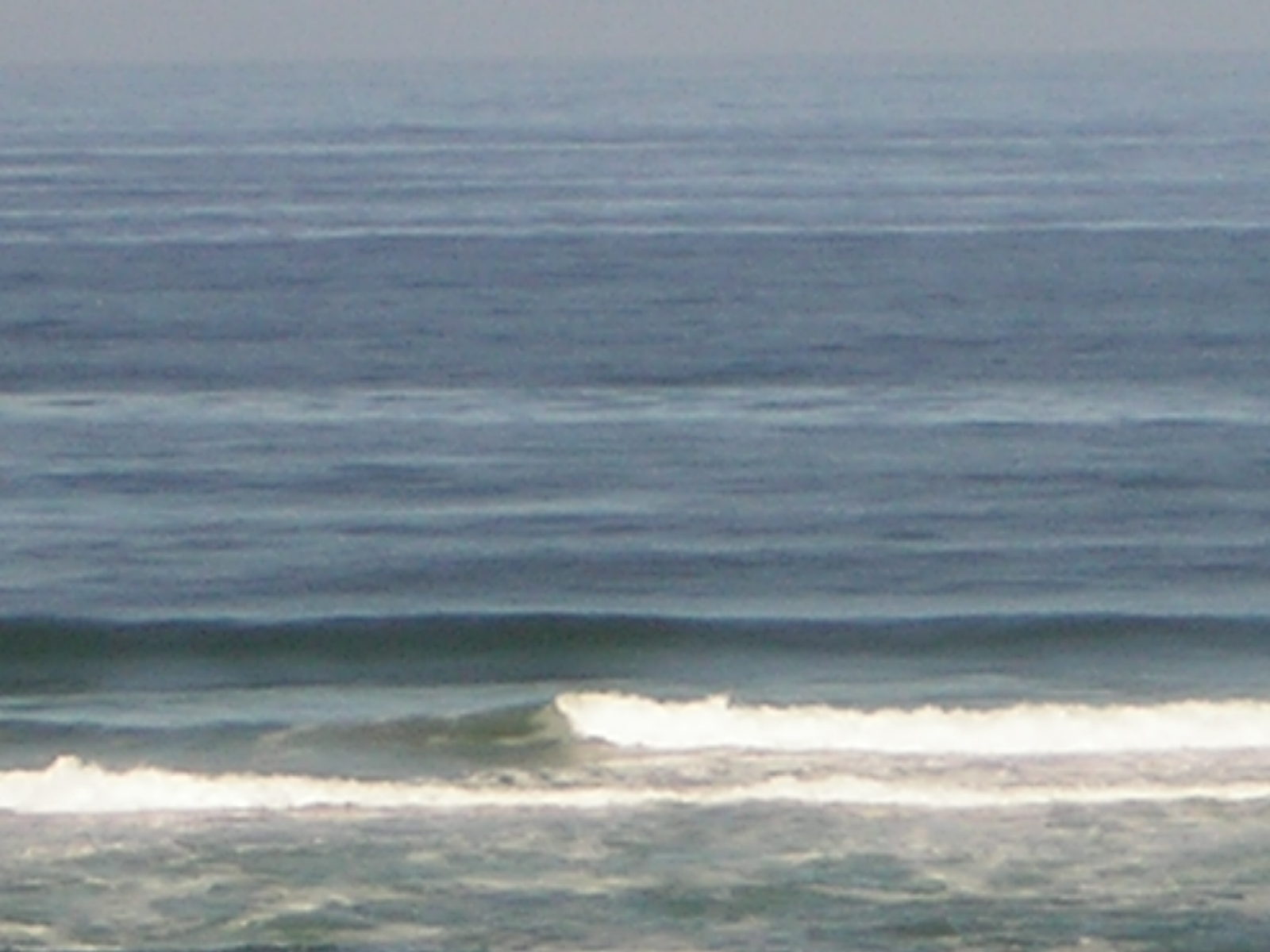 DSCN2159.jpg