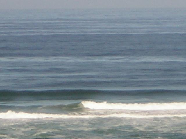 DSCN2159.jpg