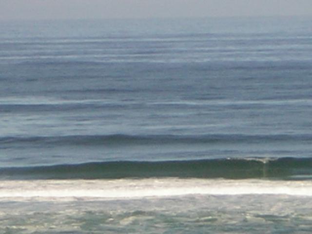 DSCN2160.jpg