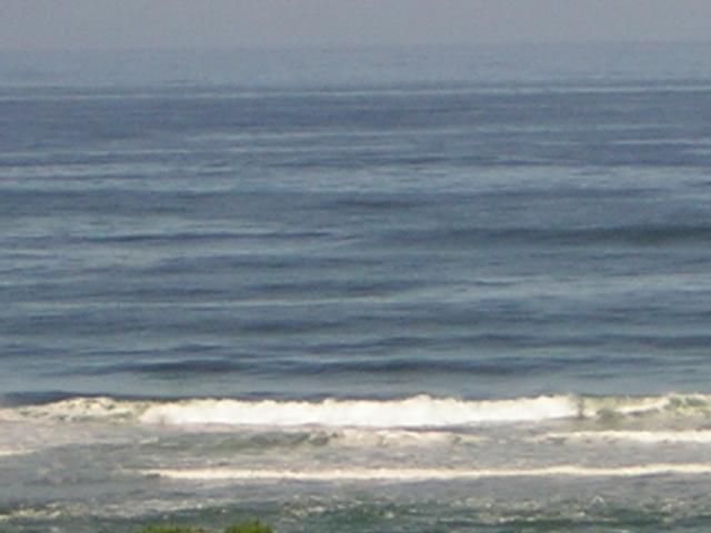 DSCN2161.jpg