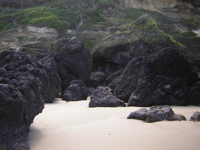 DSCN2164.jpg