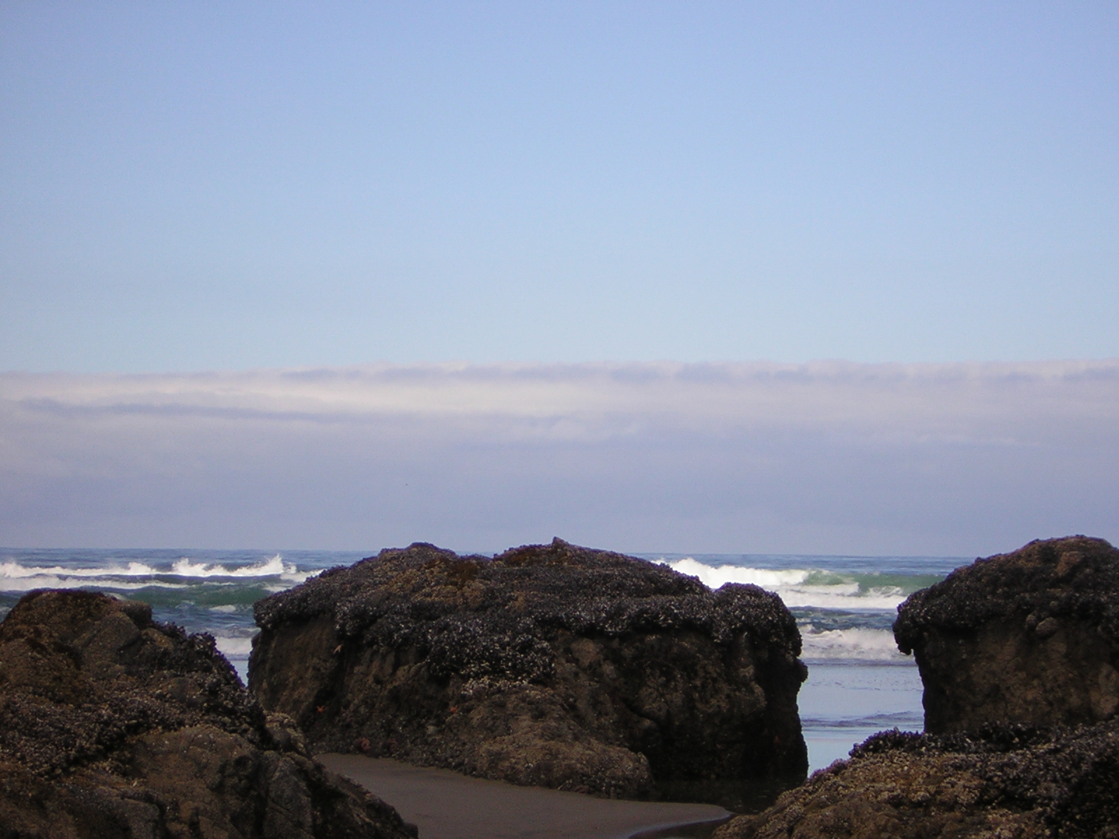 DSCN2166.jpg
