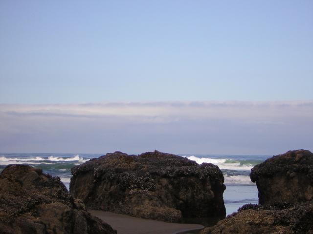 DSCN2166.jpg
