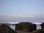 DSCN2167.jpg