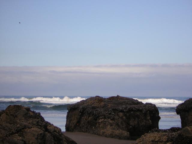 DSCN2167.jpg