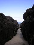 DSCN2170.jpg
