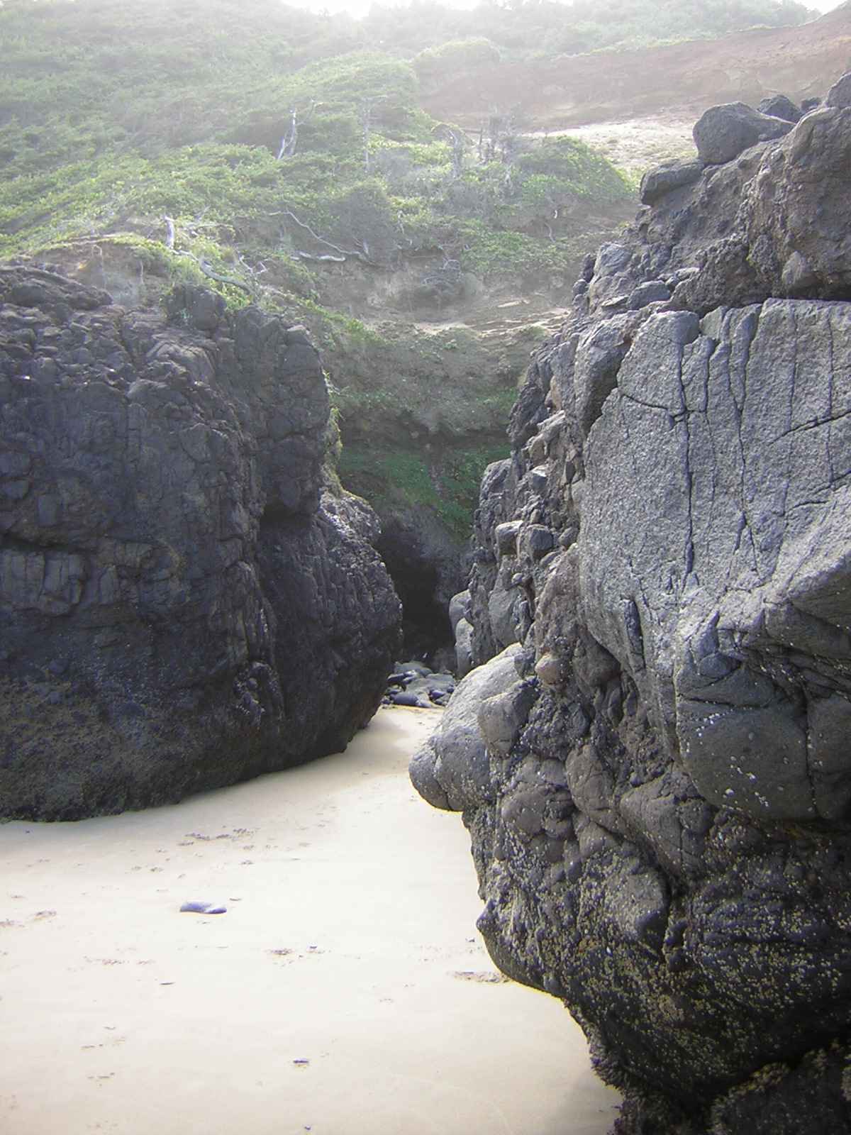 DSCN2172.jpg