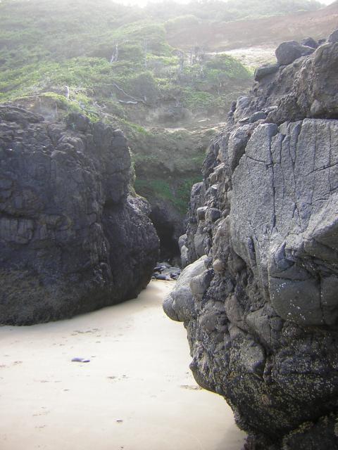 DSCN2172.jpg