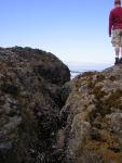 DSCN2173.jpg