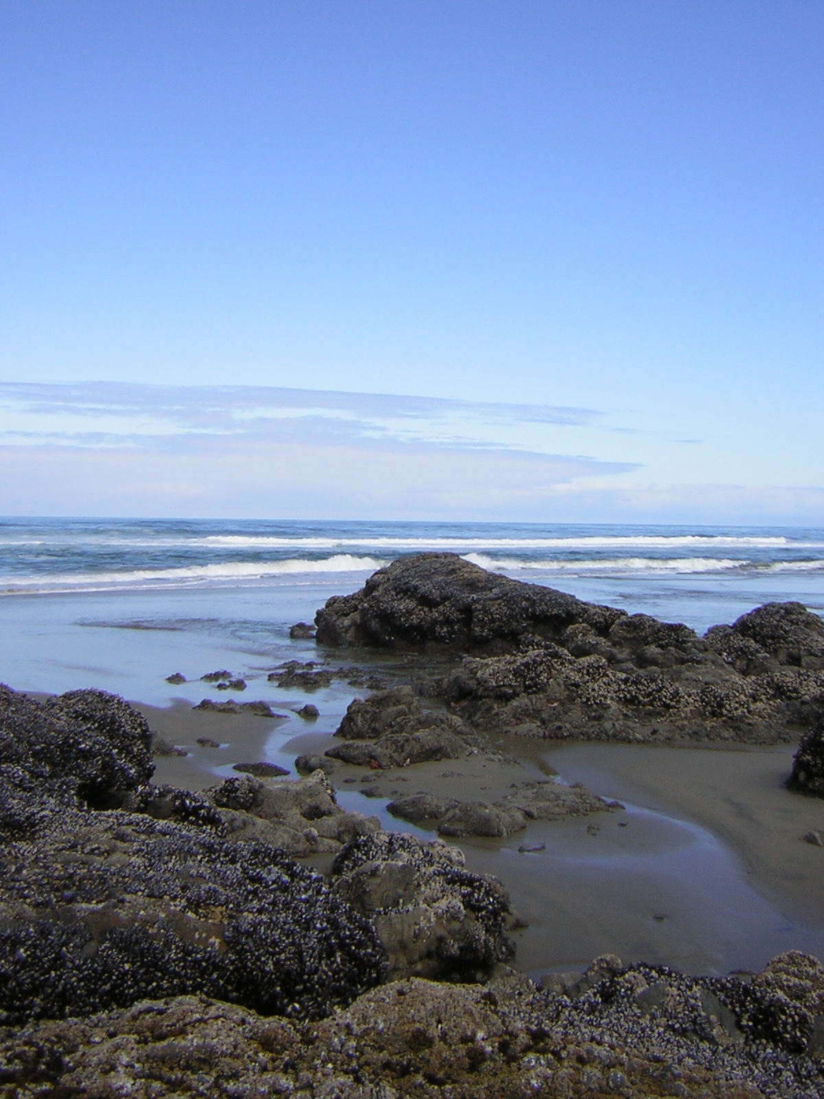 DSCN2174.jpg