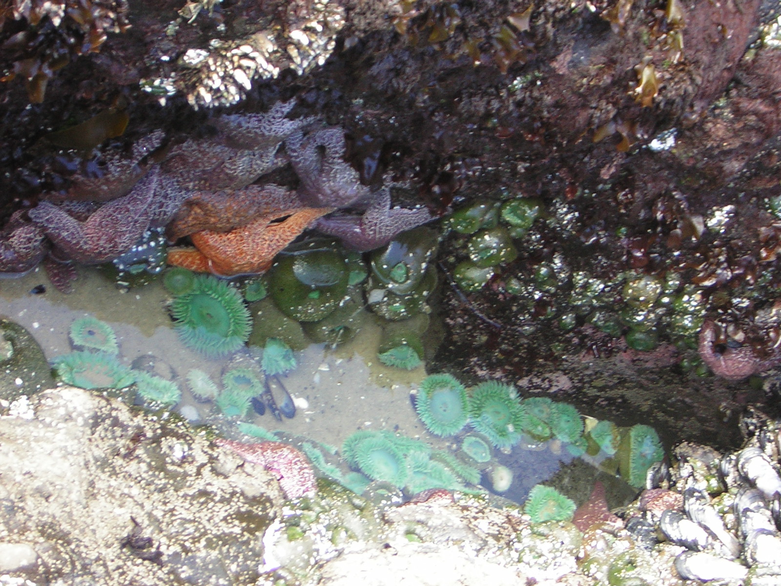 DSCN2176.jpg