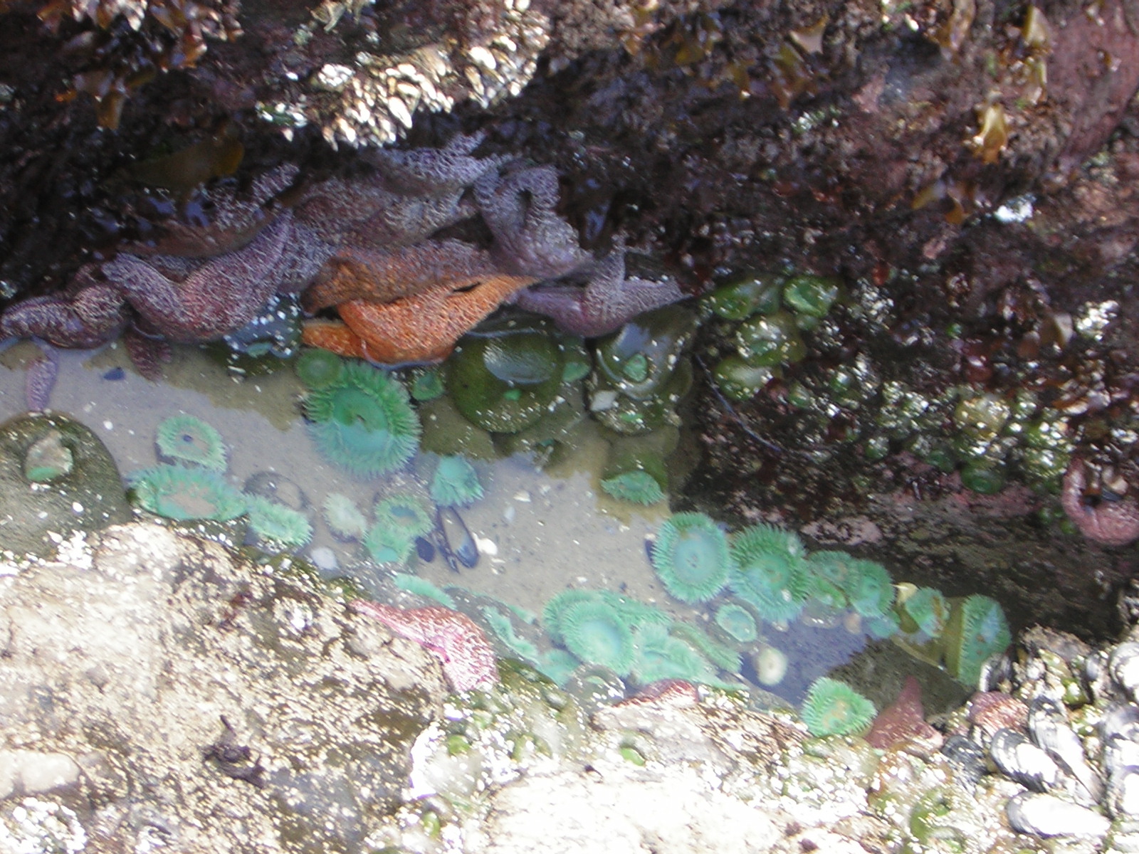 DSCN2177.jpg