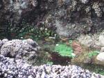 DSCN2178.jpg