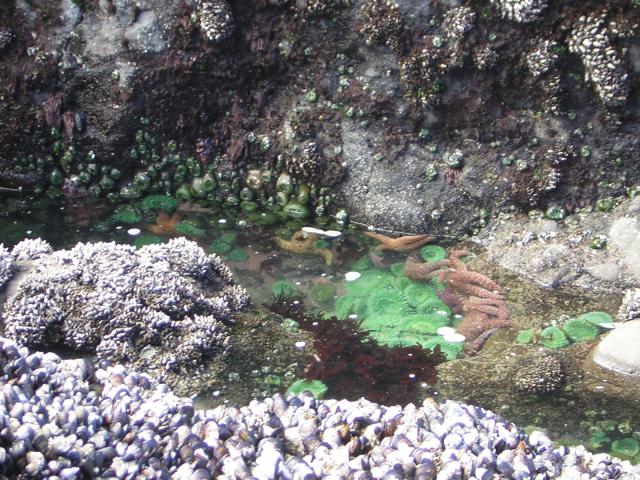 DSCN2178.jpg