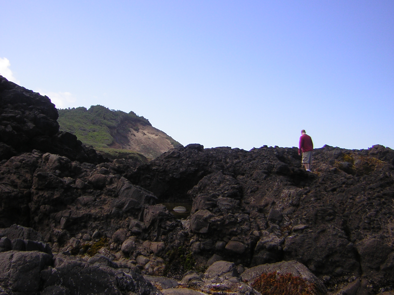 DSCN2179.jpg