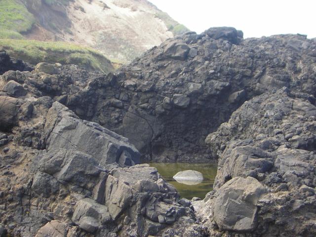 DSCN2180.jpg