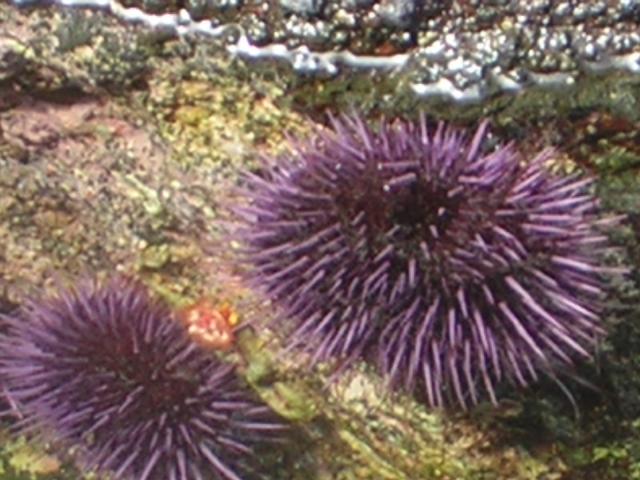 DSCN2184.jpg