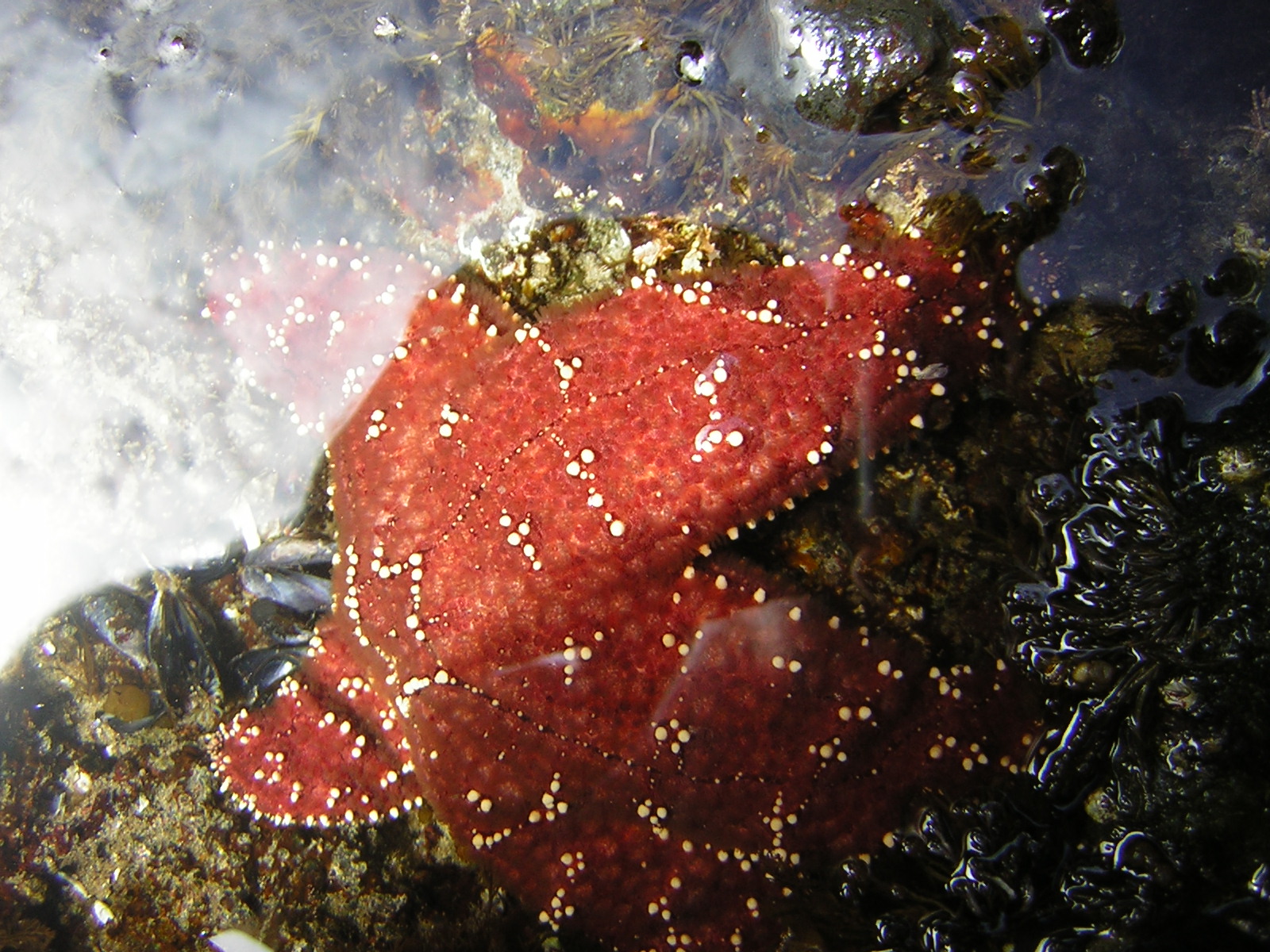 DSCN2186.jpg