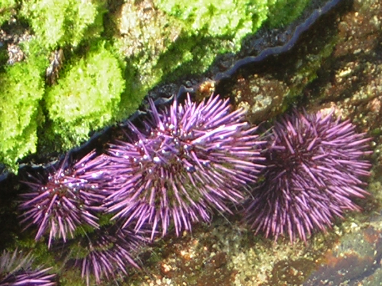 DSCN2191.jpg