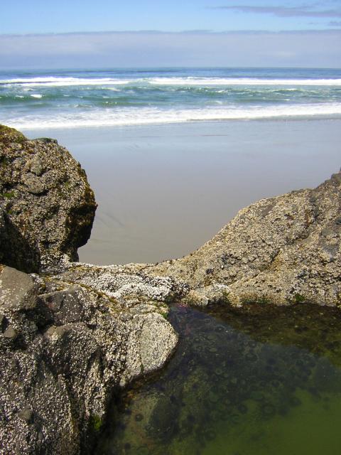 DSCN2192.jpg