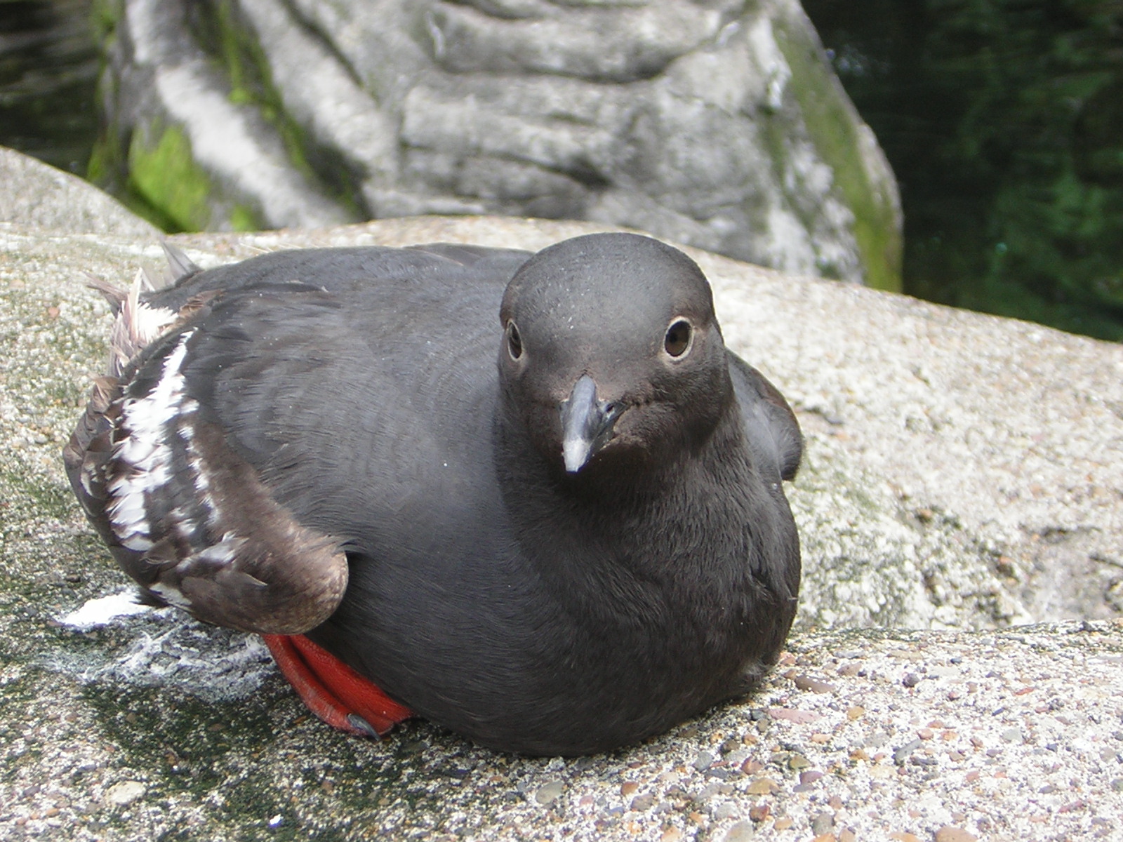 DSCN2194.jpg