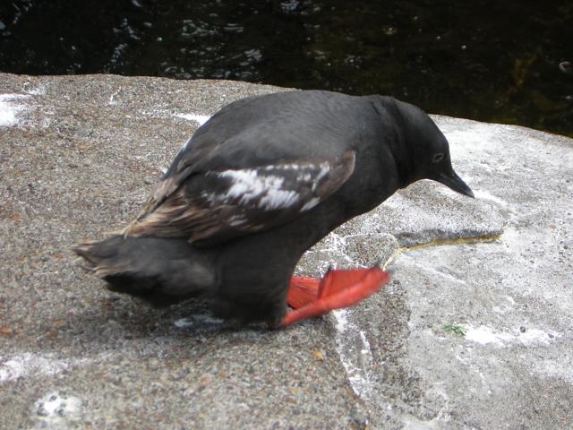 DSCN2195.jpg