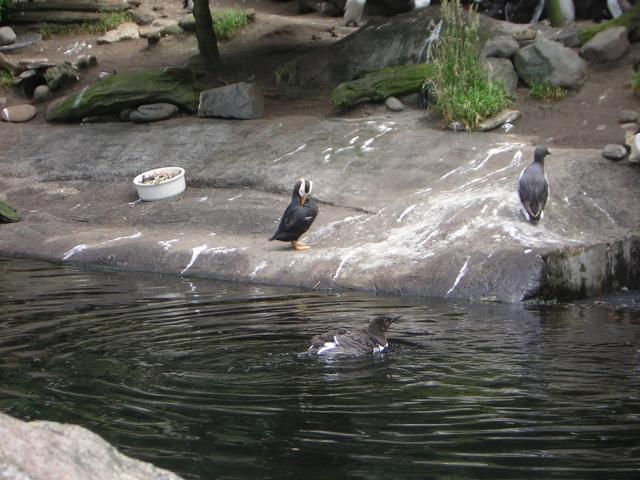 DSCN2196.jpg
