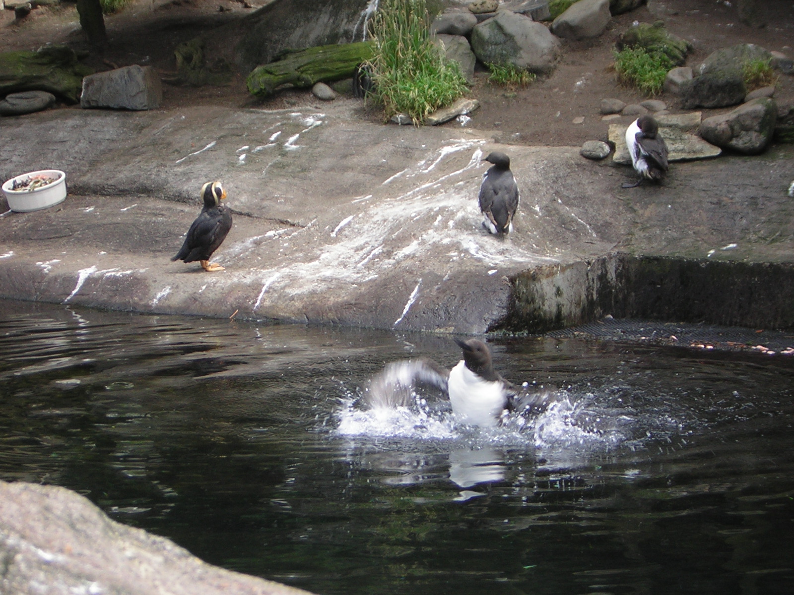 DSCN2197.jpg
