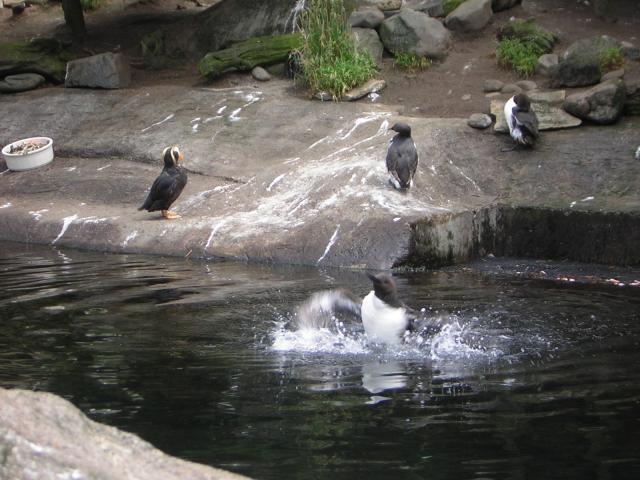 DSCN2197.jpg