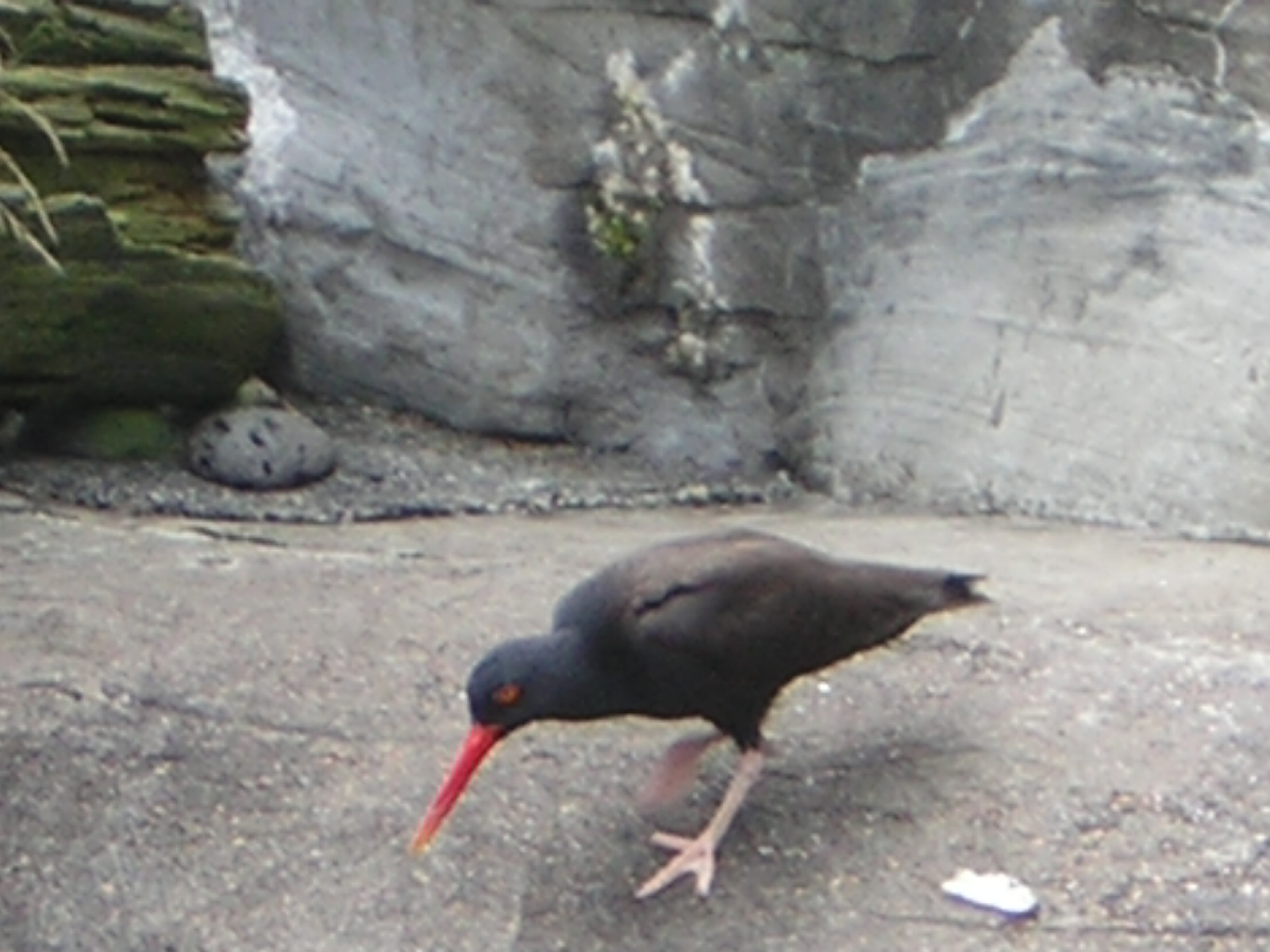 DSCN2199.jpg