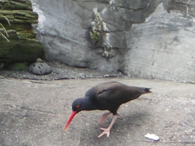 DSCN2199.jpg