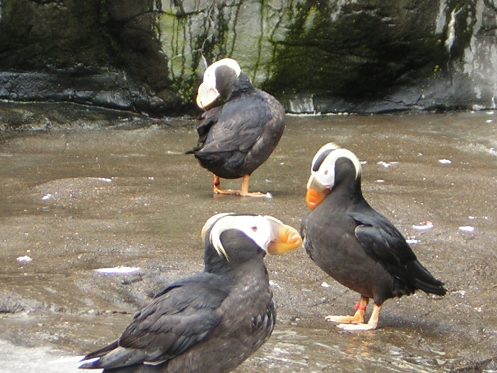 DSCN2200.jpg