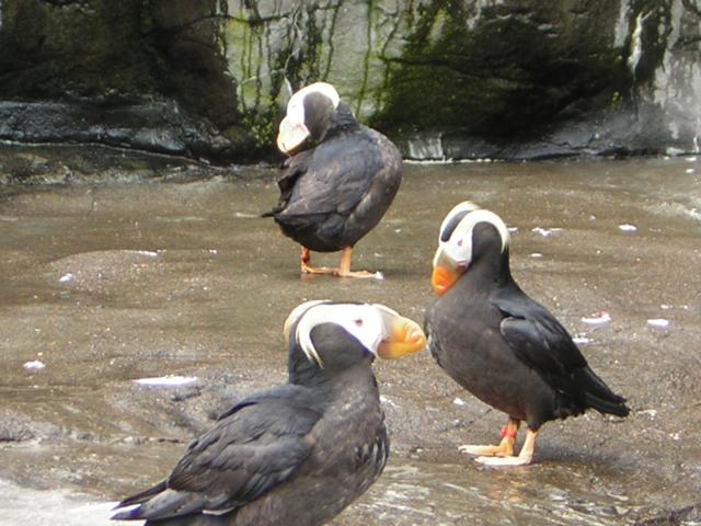 DSCN2200.jpg