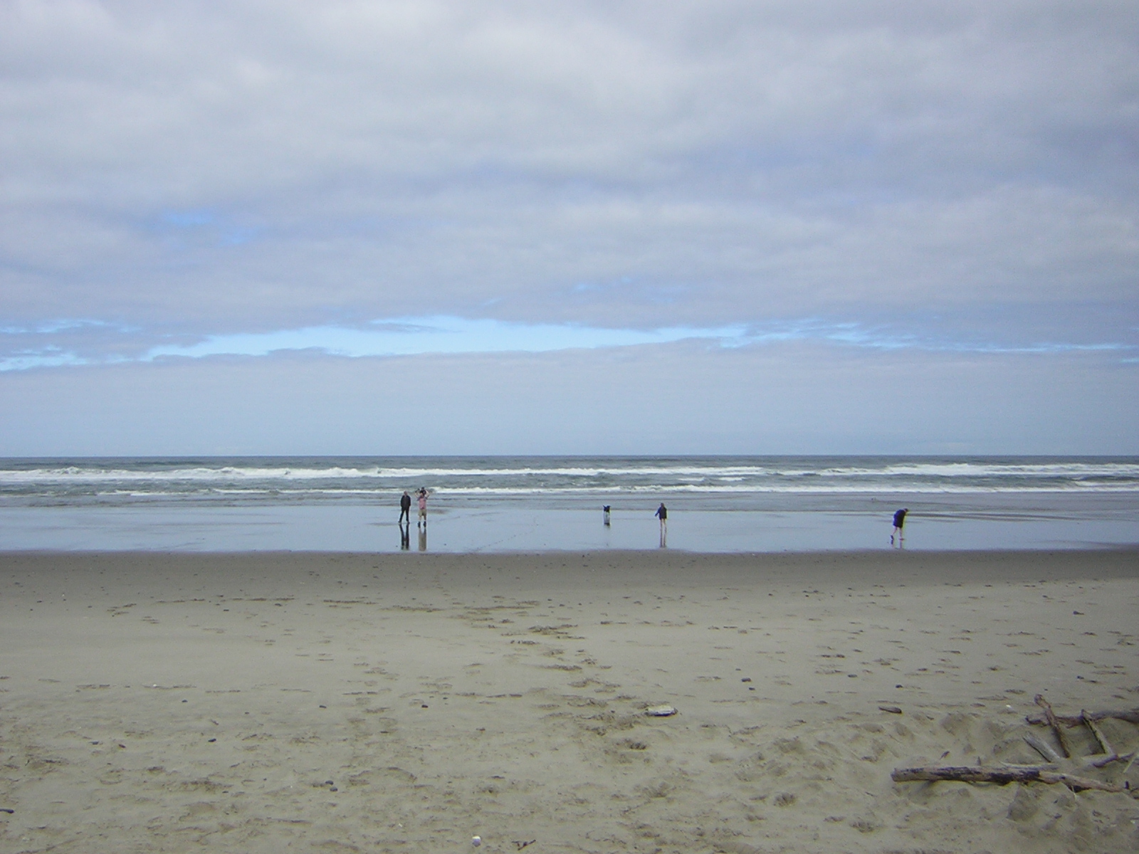 DSCN2203.jpg