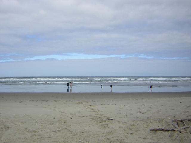 DSCN2203.jpg