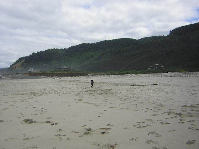 DSCN2207.jpg