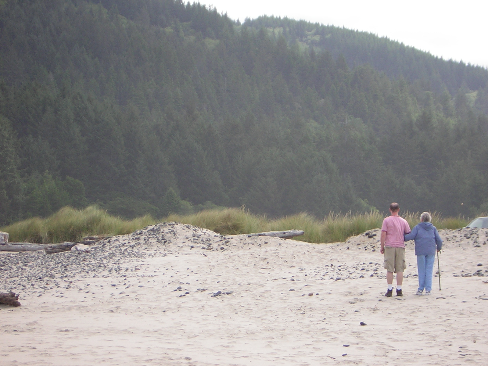 DSCN2208.jpg