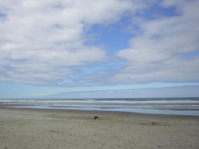 DSCN2225.jpg